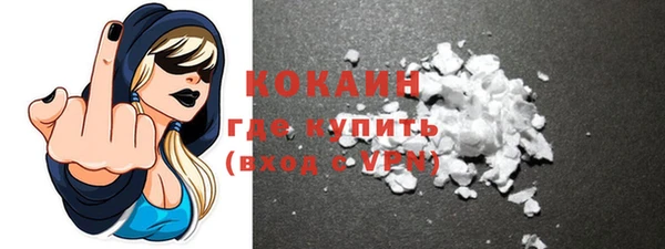 индика Беломорск
