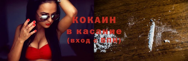 индика Беломорск