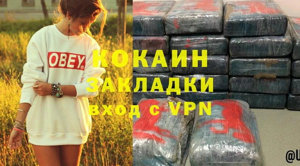 индика Беломорск