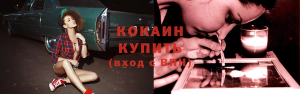 индика Беломорск