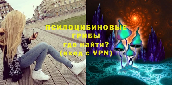 2c-b Белокуриха