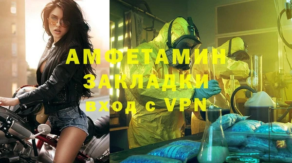 индика Беломорск
