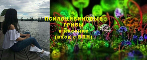 индика Беломорск