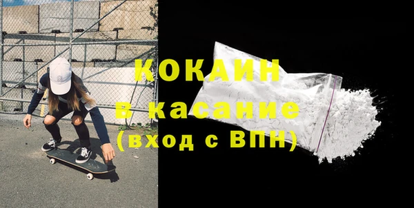 индика Беломорск