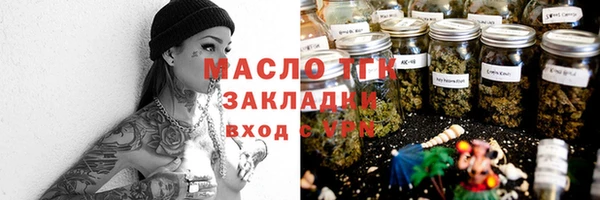 индика Беломорск