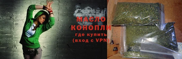 индика Беломорск