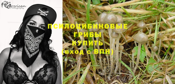 spice Белоозёрский